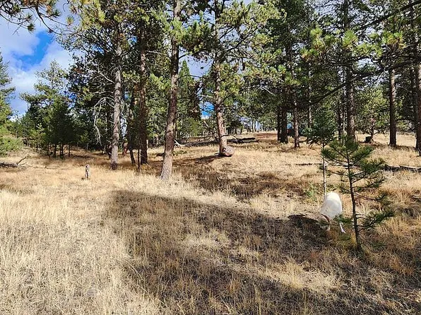 91 Utah Way, Florissant, CO 80816