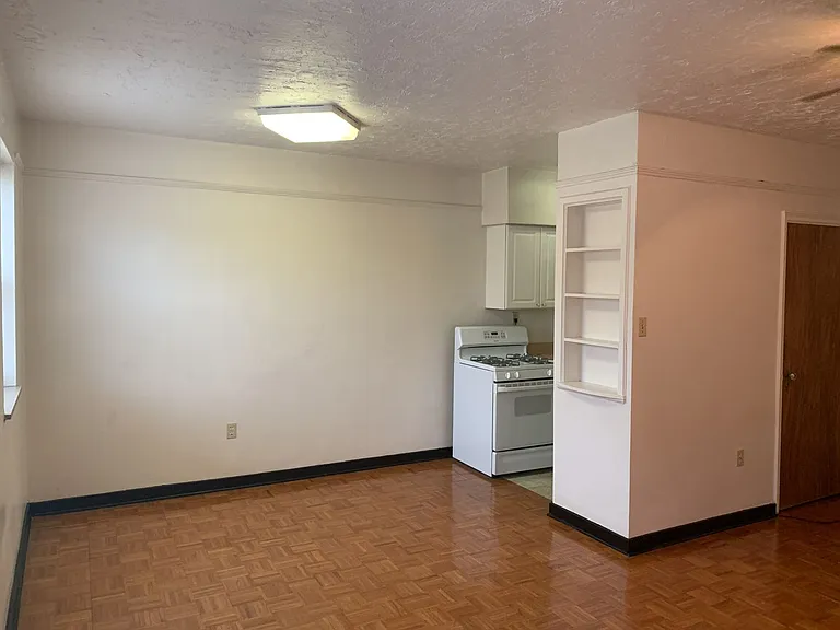 434 Shady Avenue — Photo 19