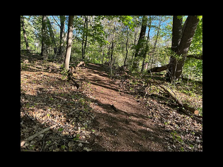 N Vanstone Dr — Photo 12
