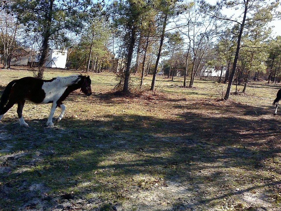 1st image of 3933 Karleen Road
