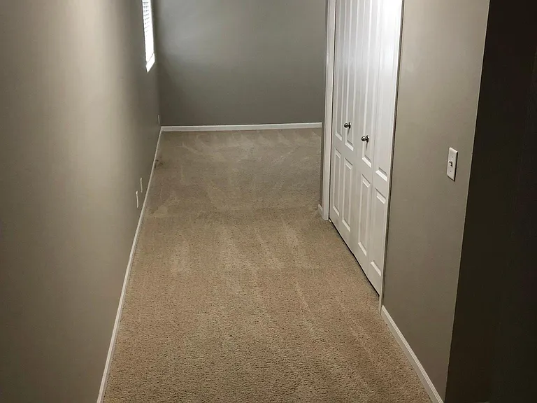 Hallway to Lower Level living area and bedroom. Laundry to the right (behind closet doors)