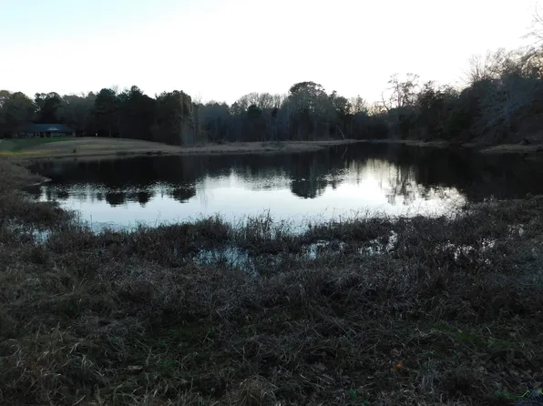 Tbd Goldfinch Rd, Gilmer, TX 75645