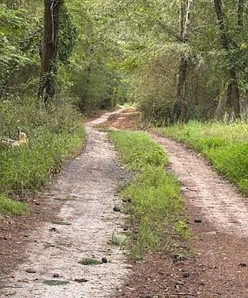 3rd image of 184 McBride Rd #F