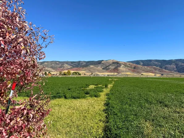 E Diane Dr, Grace, ID 83241