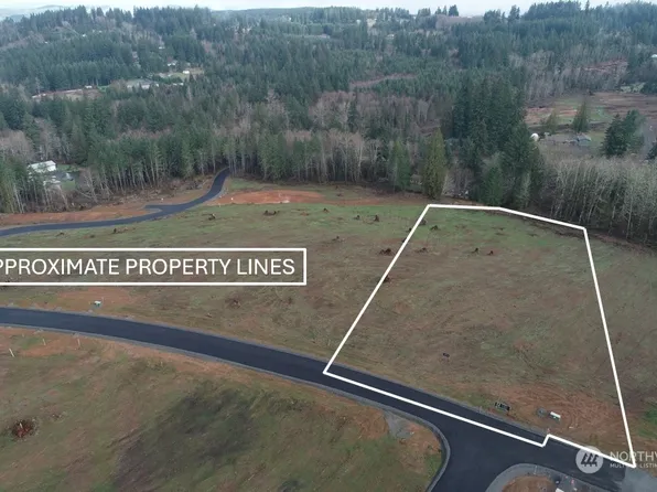 223 Ash Mountain Drive, Castle Rock, WA 98611