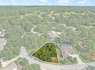 3397 N Bent Tree Point, Lecanto, FL 34461