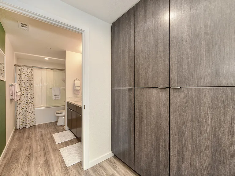 Bathroom with Excessive Storage Options