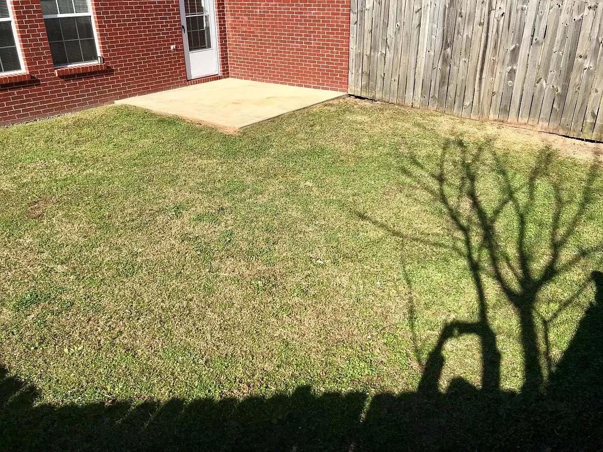 912 Singley Avenue — Photo 3