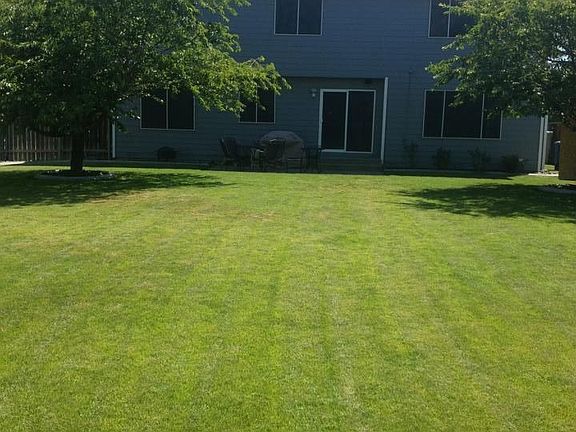 back yard
