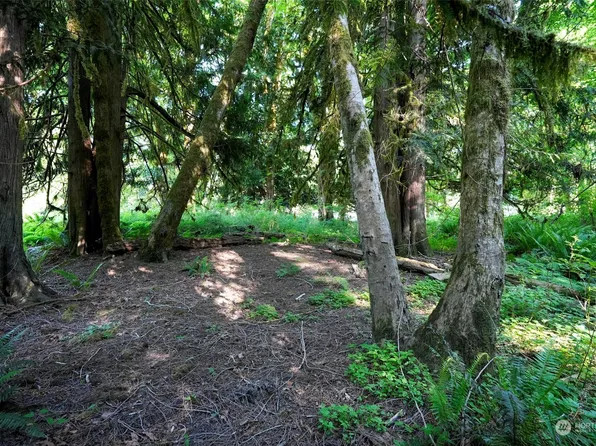 0 Ridge Road, Brinnon, WA 98320