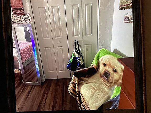 4th image of 112 Coachlight Ln
