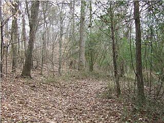 3rd image of 2920 Stardust Dr