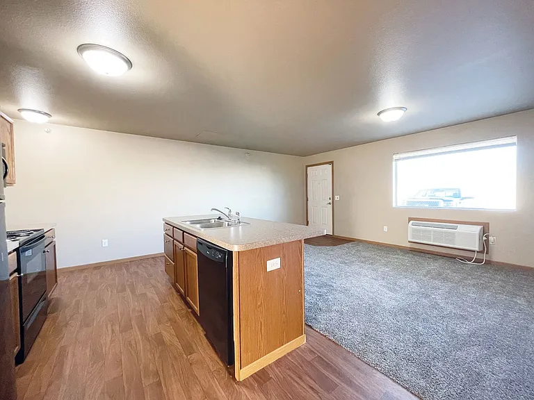 Remington — Photo 8
