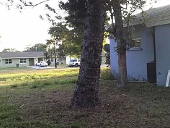 Back yard