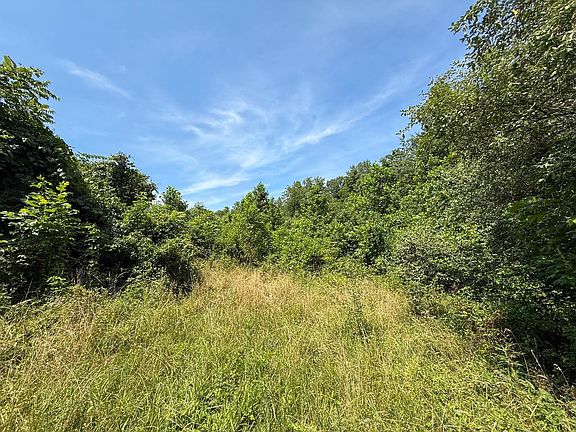 5th image of Coler Rd