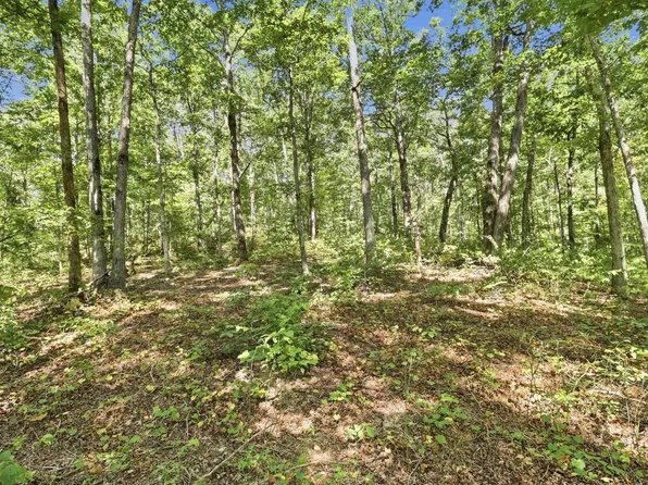 845 Ridgewood Dr Lot 17, Mc Ewen, TN 37101