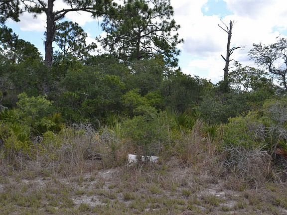 2nd image of 1115 Skyline St