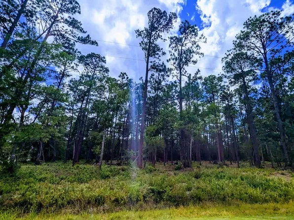 0 Boykin Blvd #197, Lillian, AL 36549