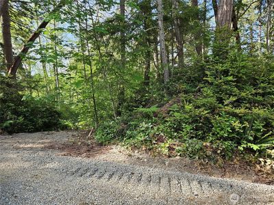 0 NKA Fox Road, Quilcene WA - Owner Finance Home