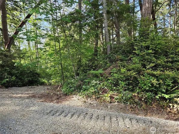 0 NKA Fox Road, Quilcene, WA 98376