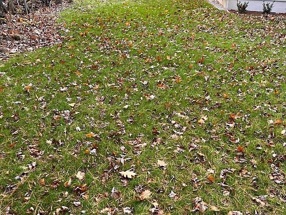 5th image of 61 Russell Hill Road