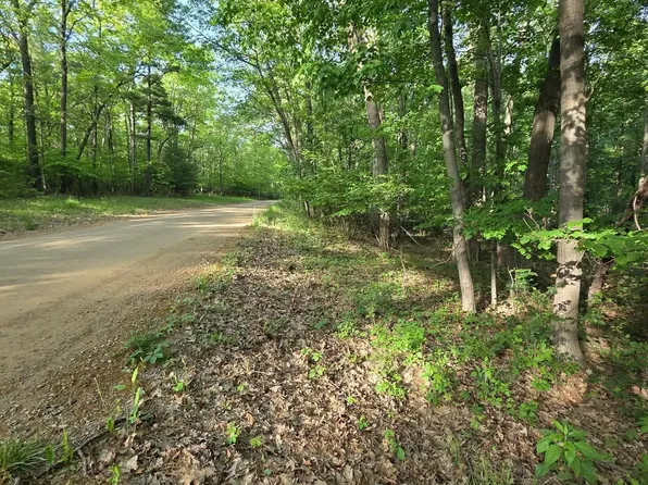 2531 Weaver Rd, Port Austin, MI 48467