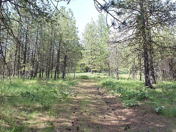 4th image of 10A Hoodoo Mountain