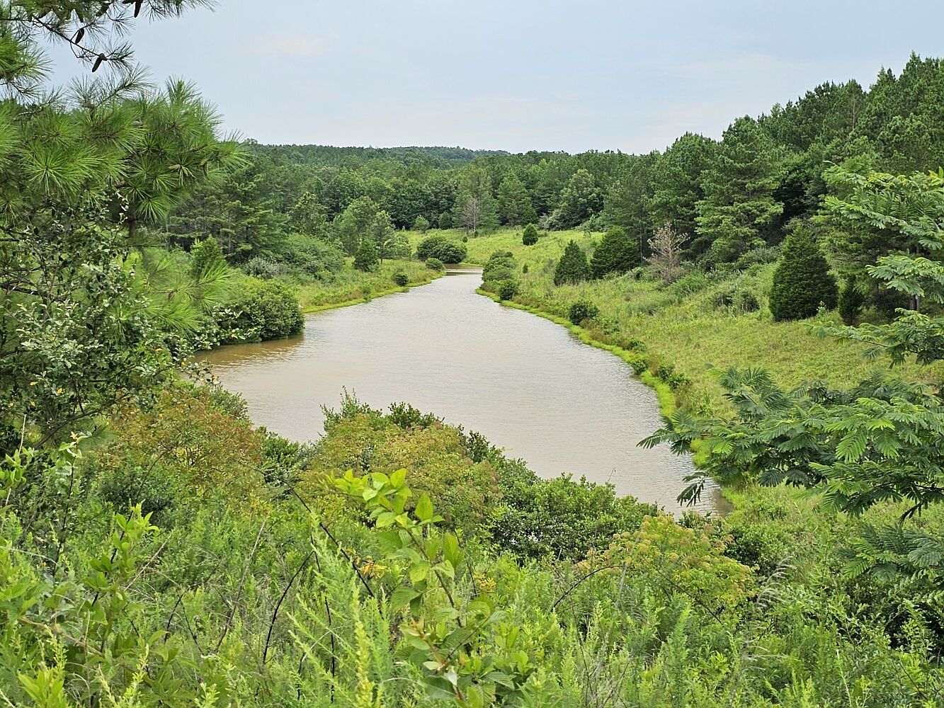 TRACT Four 0 County Rd 68, Brilliant, AL 35548 Zillow