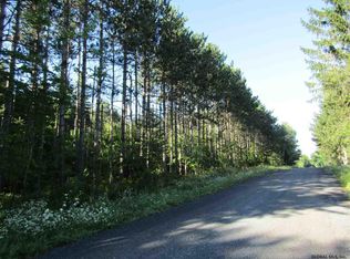 0 Zach Hill Rd, Middleburgh, NY 12122