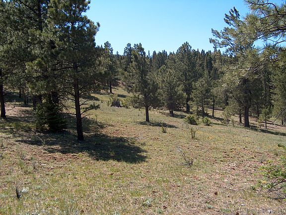 5th image of Cinquefoil Ln Lot A-1