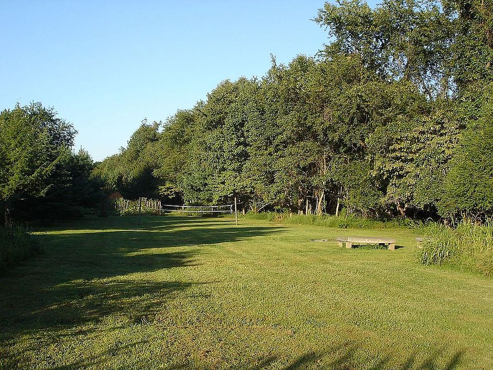 Back Field