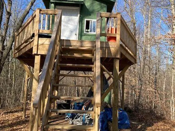 5401 E Edgar Rd, Edmore, MI 48829