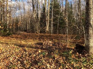 LOT 43 Alpine Dr, Upson, WI 54565