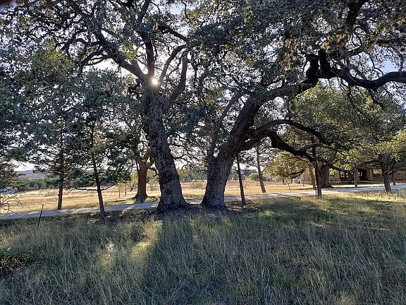 South side shade for Lot