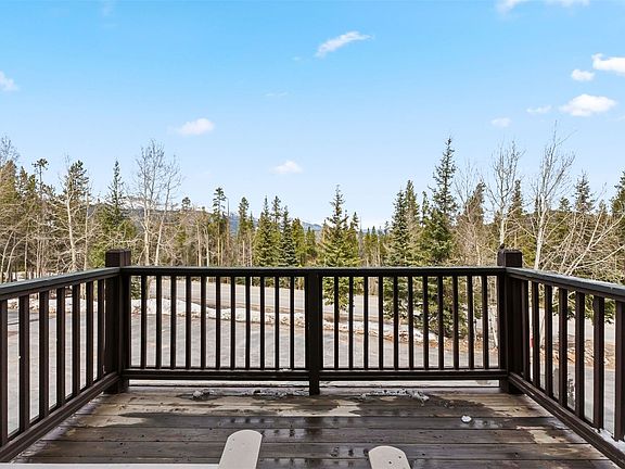 4th image of 1692 Boreas Pass Rd #D