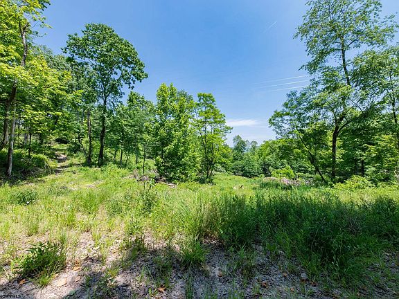 3rd image of 137.88 Acres Off