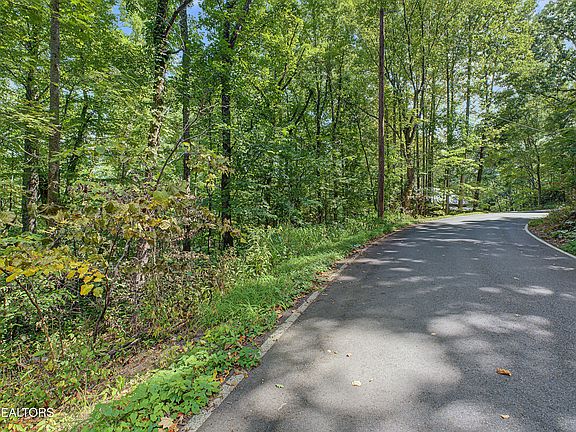 3rd image of Old Cades Cove Rd