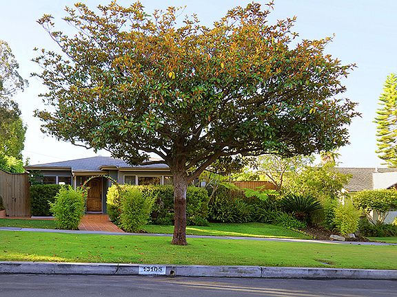 3rd image of 13106 Rose Ave