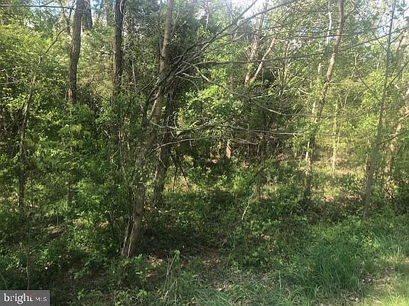 2nd image of 5603 Dogwood Tree Ln