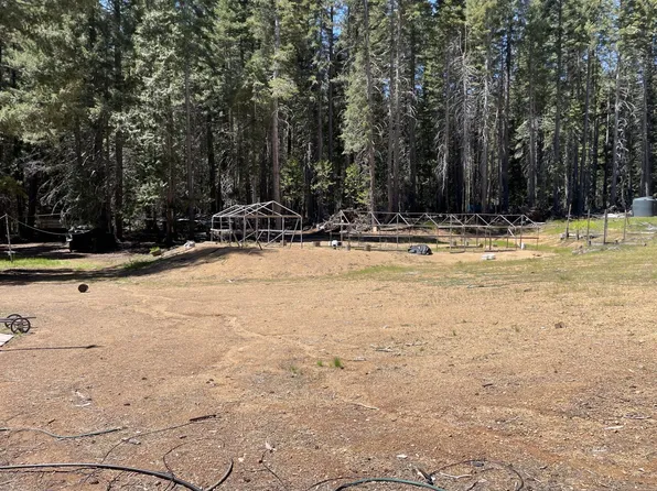 351 Mule Lovers Ln, Hayfork, CA 96041