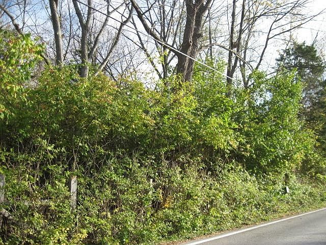 1st image of Dayton Farmersville Rd