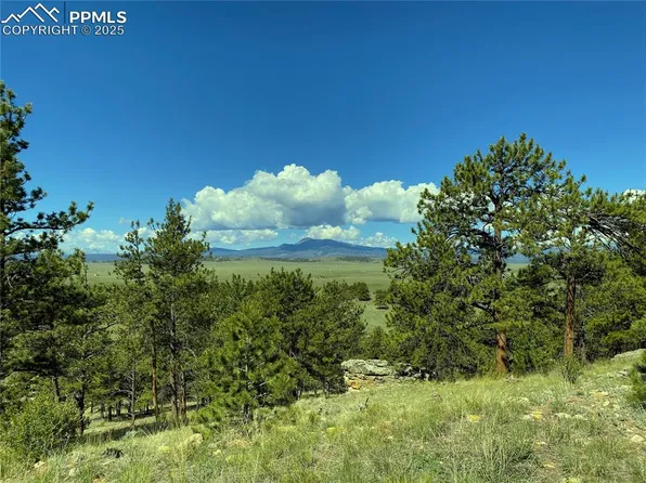 31180 Highway 9, Hartsel, CO 80449