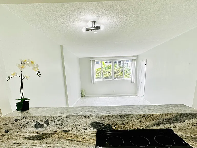 1333 E Hallandale Beach Blvd #302 — Photo 11