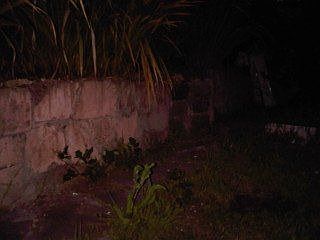 5th image of 531 87th St