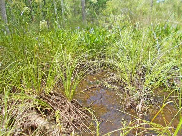 0 Express Rd, Grand Ridge, FL 32442