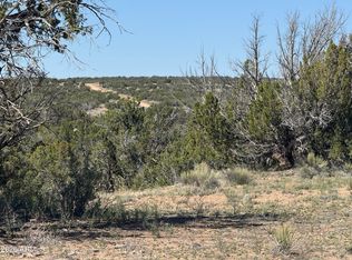 Lot 531 Woodland Valley Ranch -- #531, St Johns, AZ 85936
