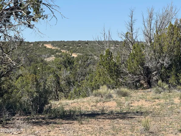 Lot 531 Woodland Valley Ranch -- #531, St Johns, AZ 85936