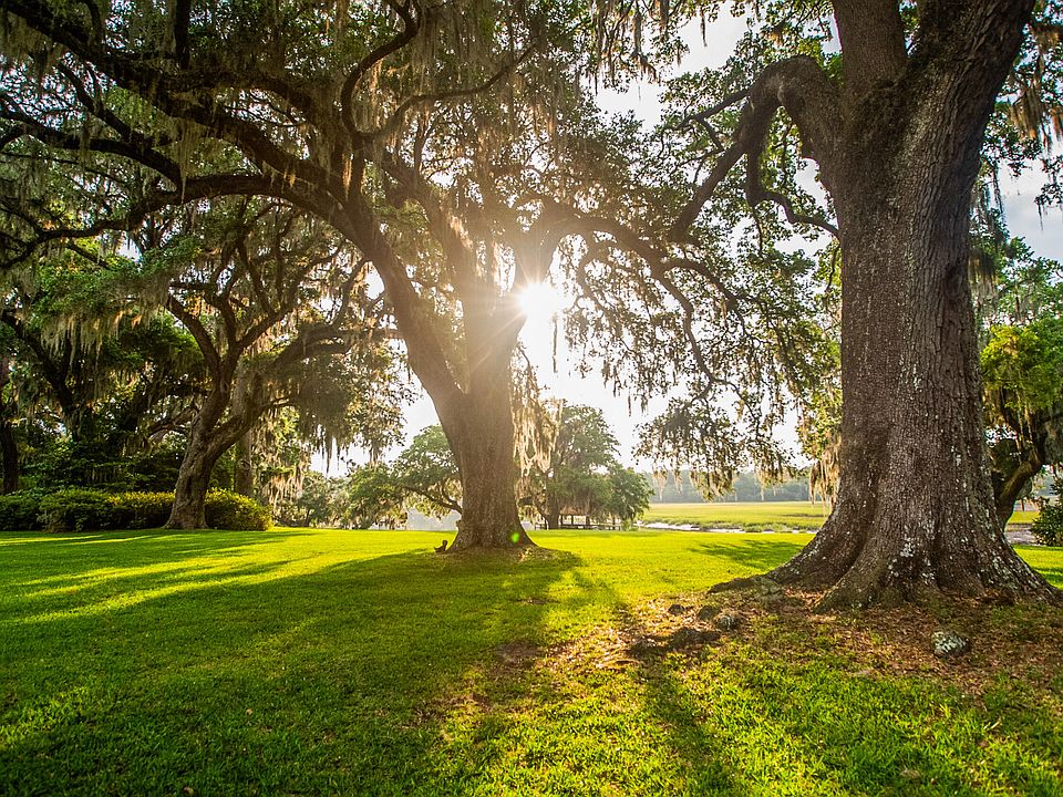 1415 Gregorie Neck Rd, Yemassee, SC 29945 Zillow
