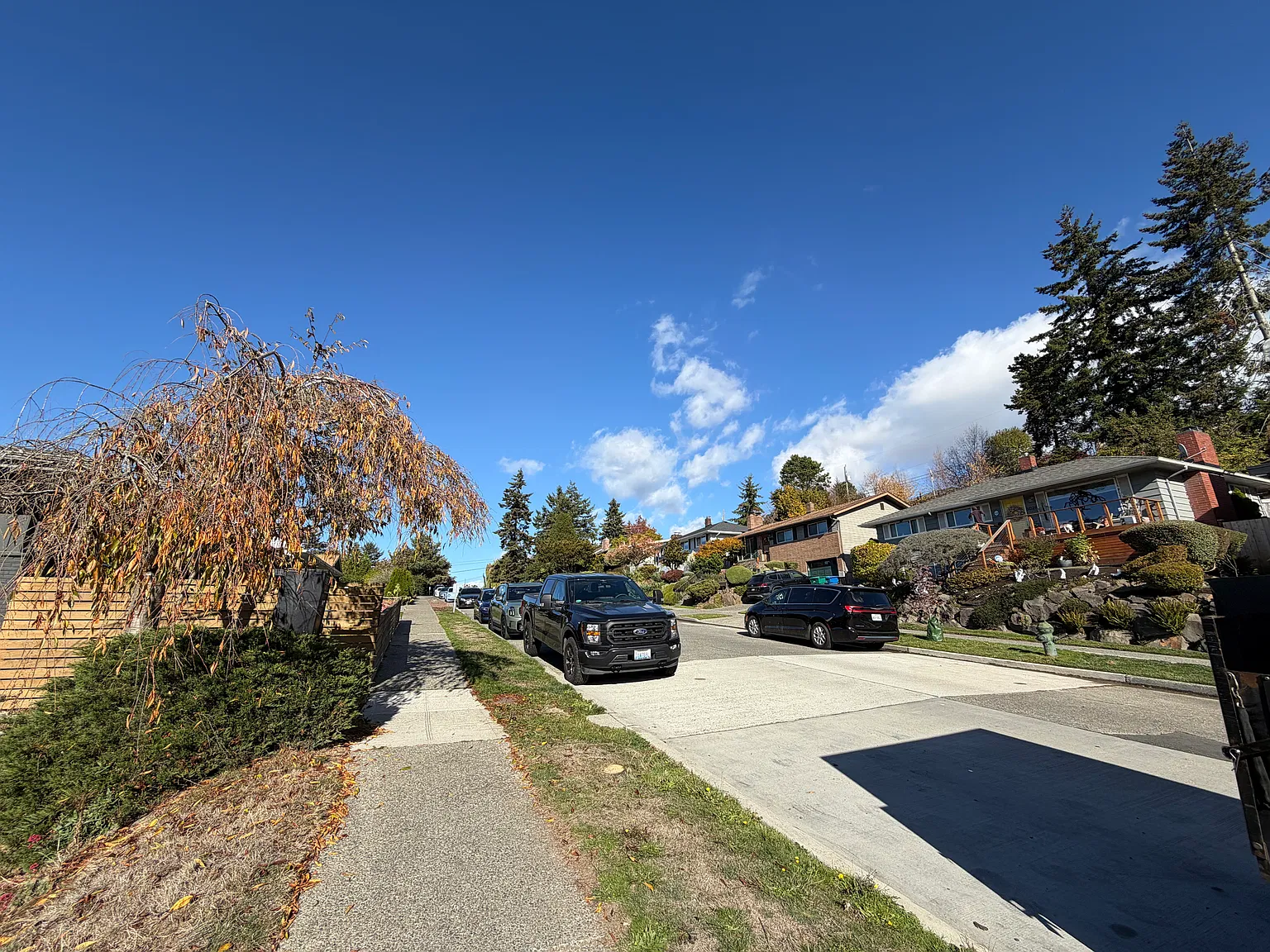 38th Ave SW, Seattle — Photo 4