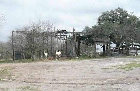 5th image of 2985 Fm 1349